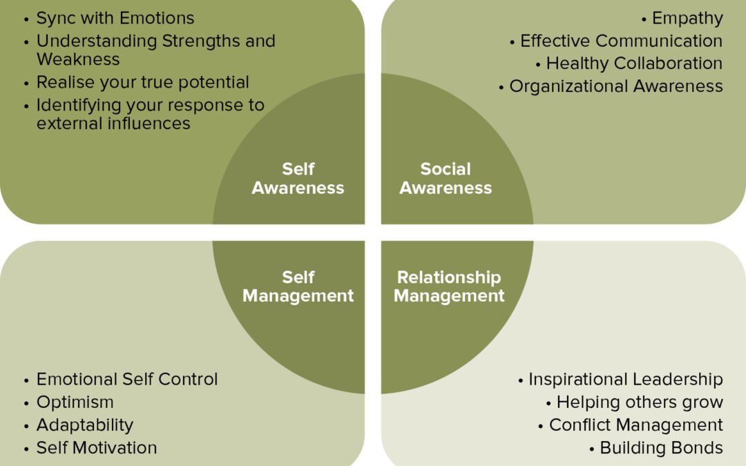 Daniel Goleman's emotional intelligence quadrants